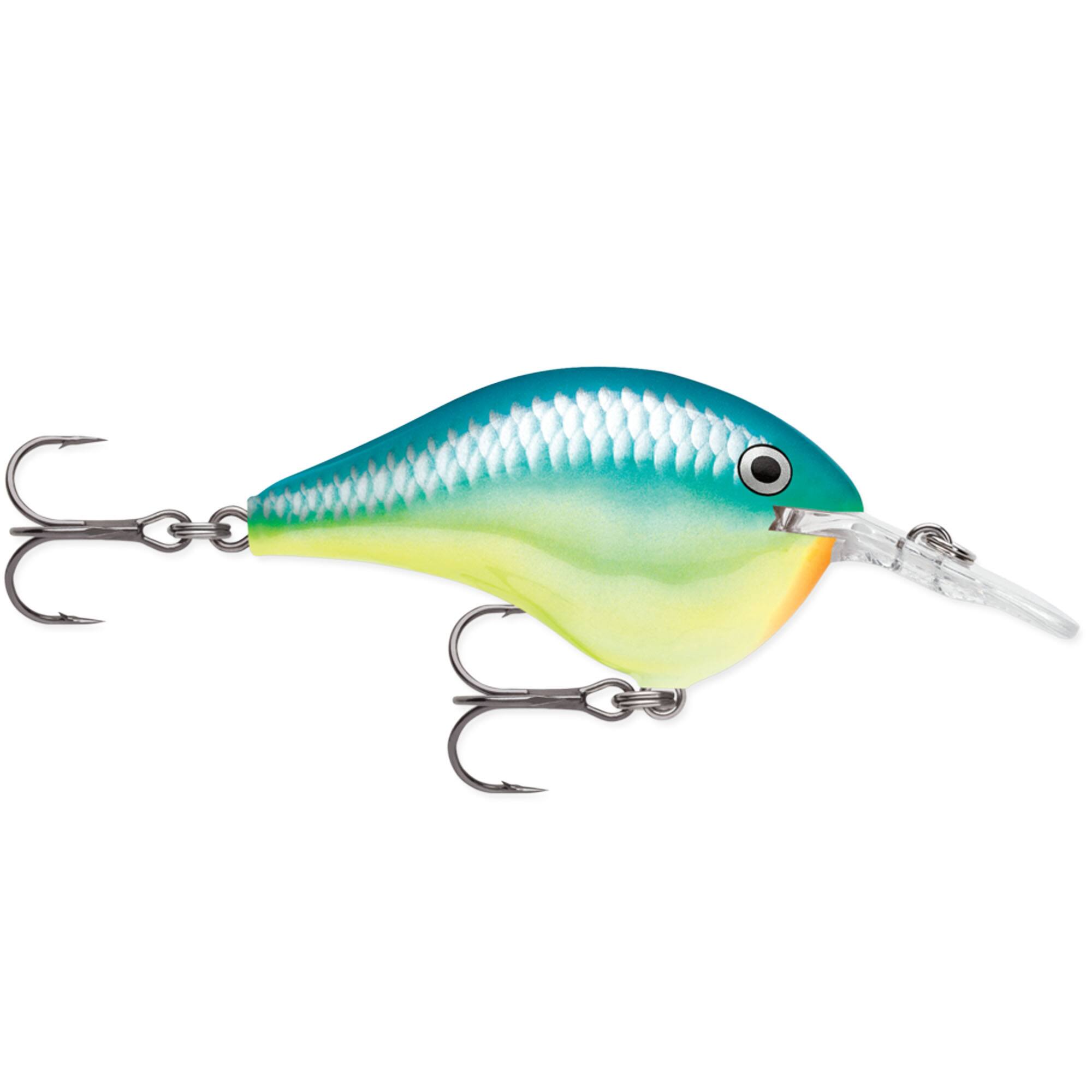 Caribbean Shad