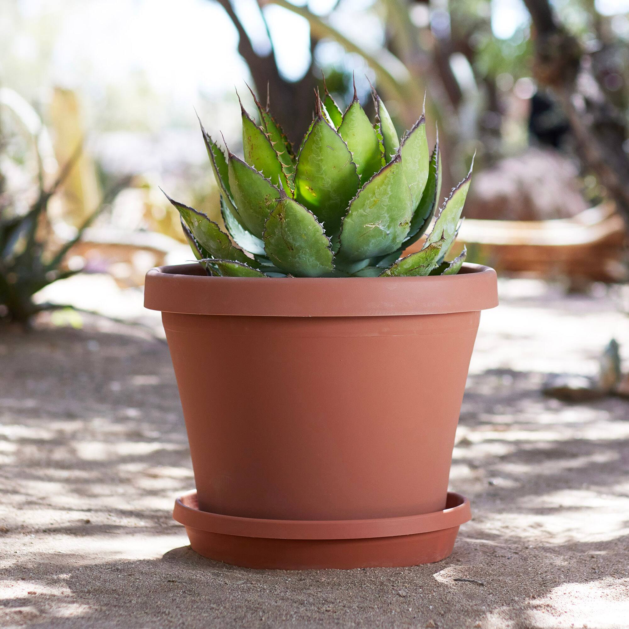 Alt View 3. Bloem - Terra Cotta 16" - Terra Saucer Tray.