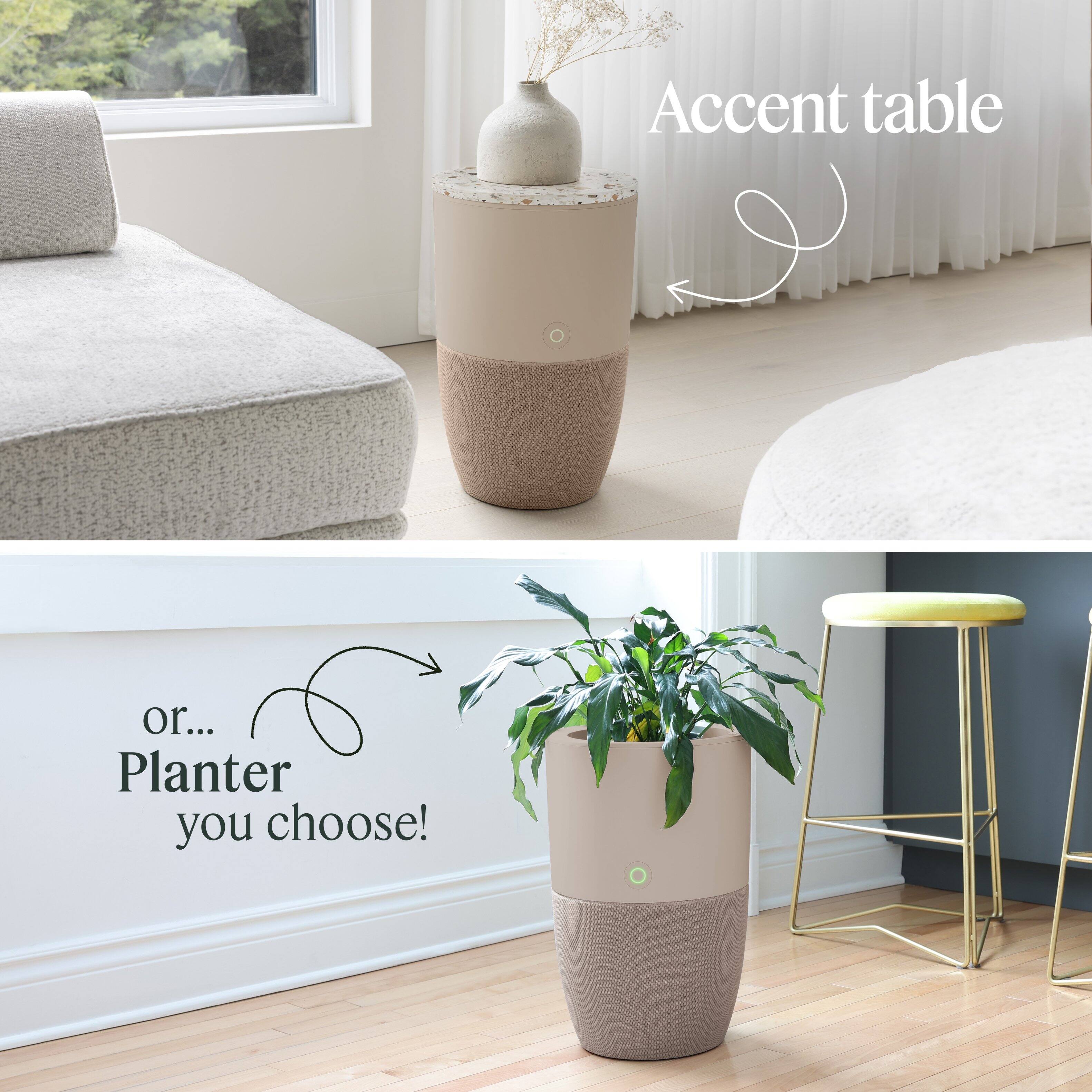 Accent table

or... Planter you choose!