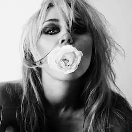 Miley - Bass Persuades - CASSETTES