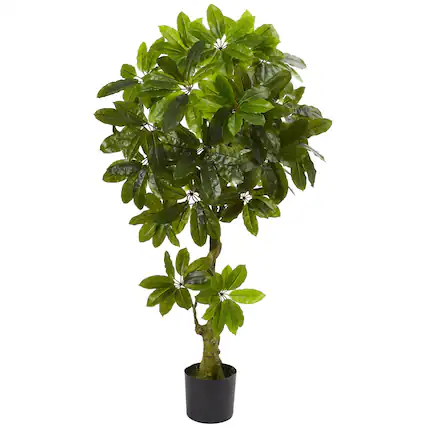 Front. BreeBe - 5' Schefflera Tree UV Resistant (Indoor/Outdoor) - Green.