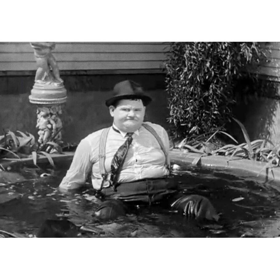 Left. Laurel & Hardy: The Essential Collection (DVD),Comedy.