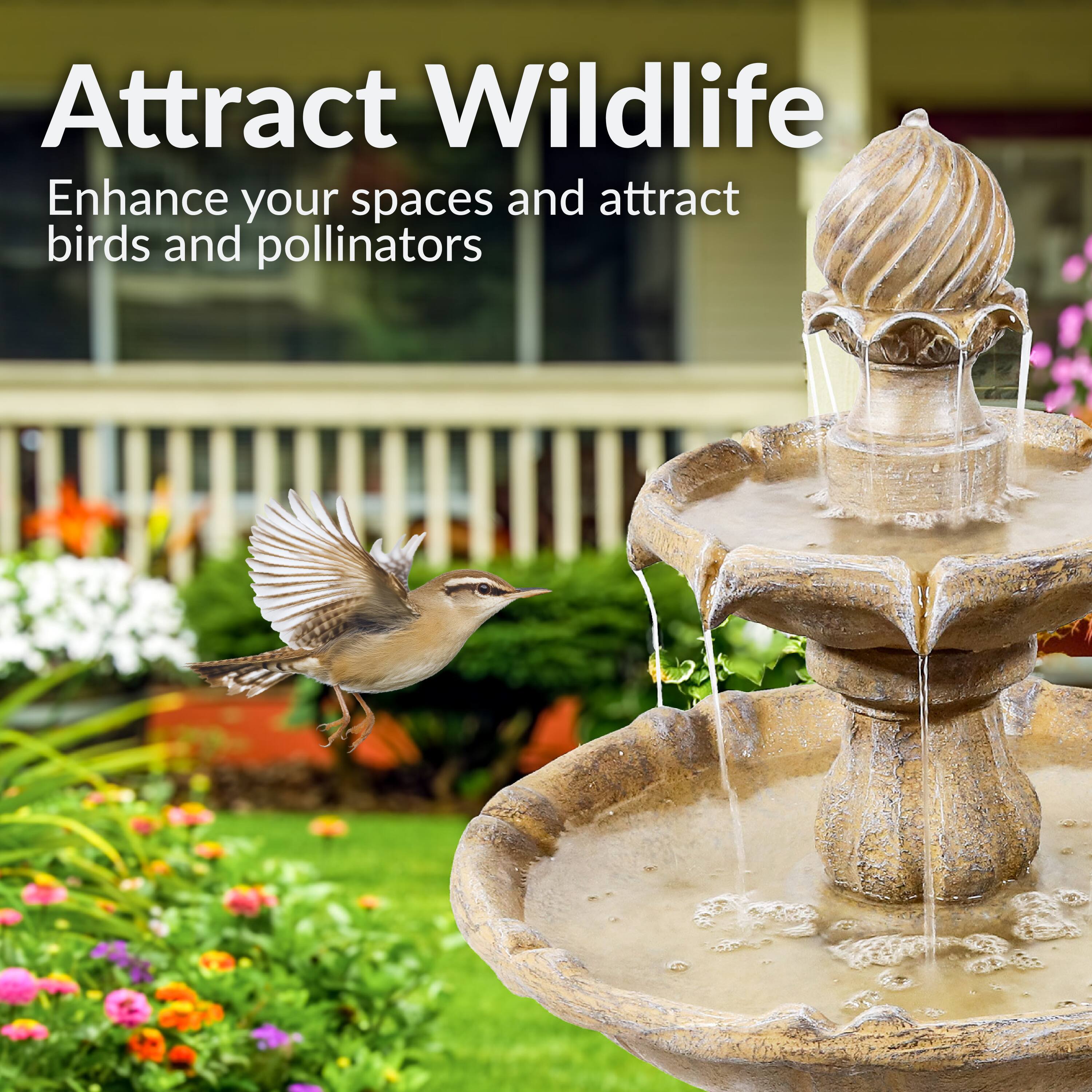Attract Wildlife  
Enhance your spaces and attract birds and pollinators