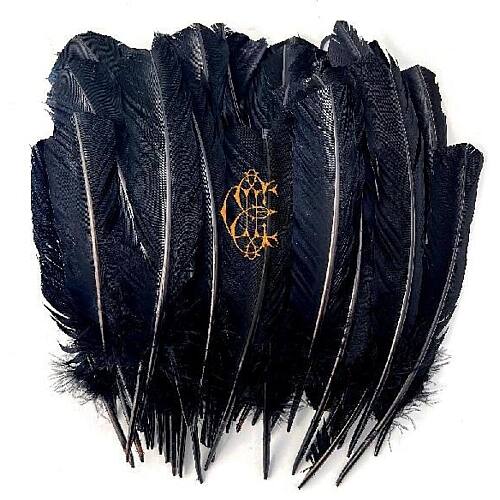 Hyacinth [LP] [VINYL]