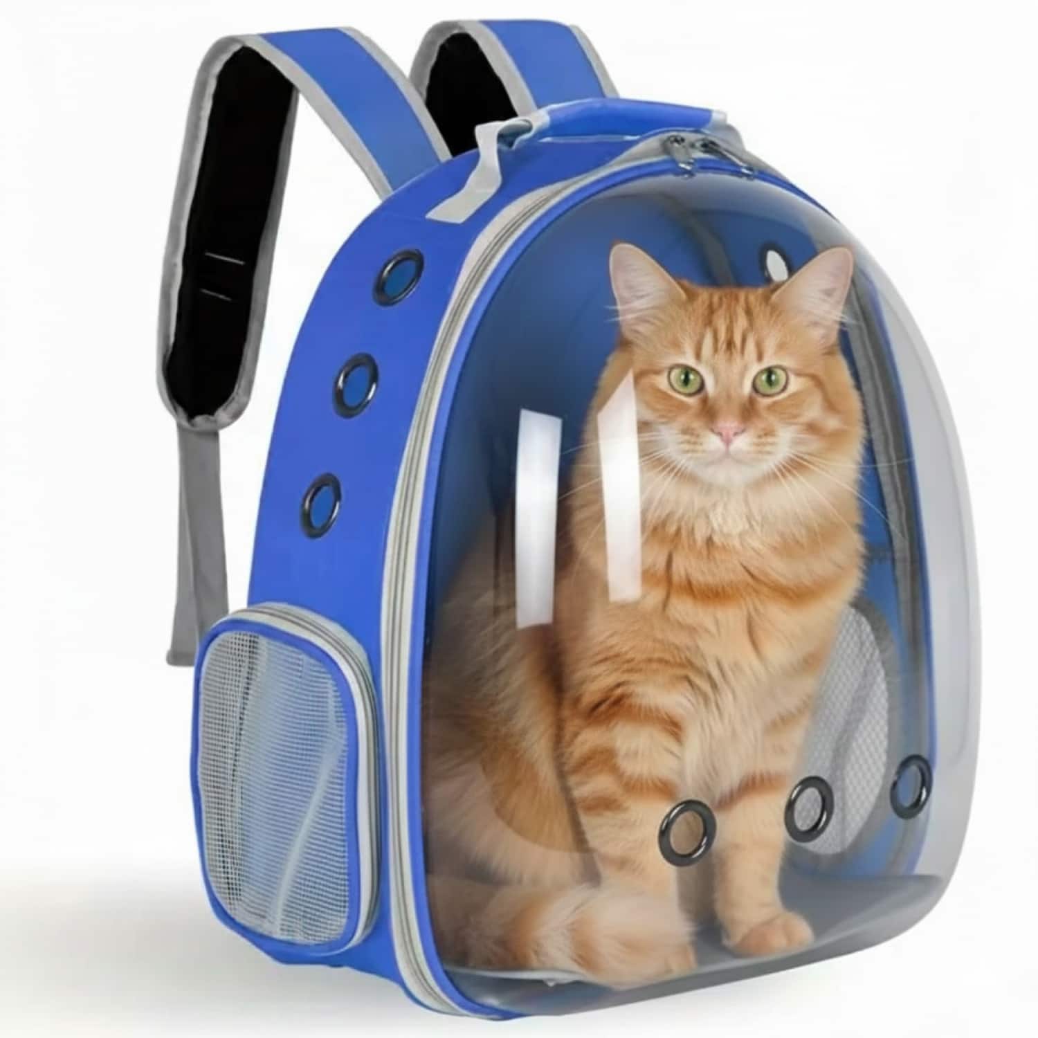 ProMounts - Breathable Transparent Pet Carrier for Cats & Small Dogs, Space Capsule Travel Bag Backpack - Blue