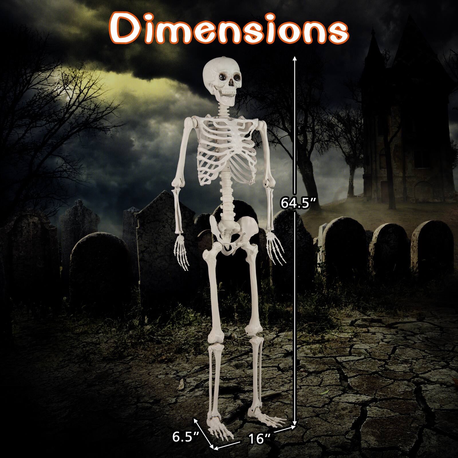 Dimensions  
64.5"  
6.5"  
16"