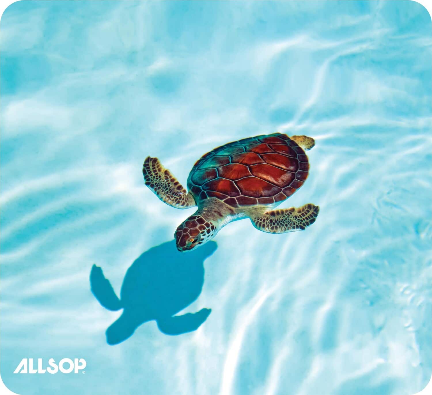 Allsop - 31425 Naturesmart Mouse Pad - Turtle - COMPUTER ACCESS - Multicolor