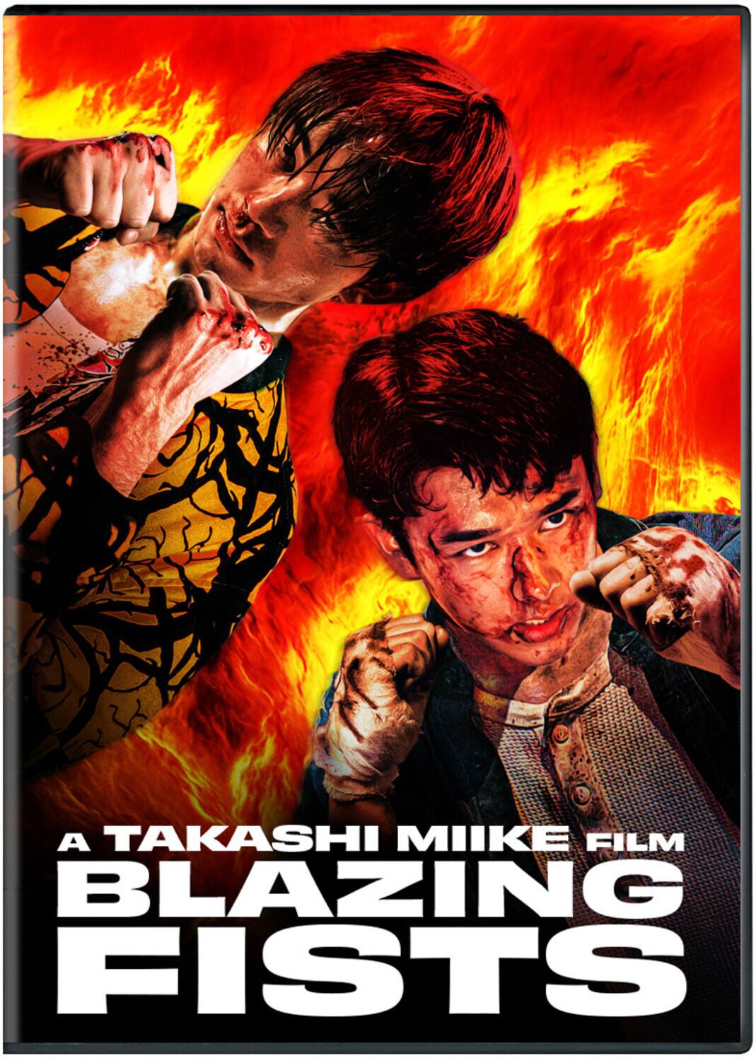 Blazing Fists   - DVD price history on PriceWatchPro