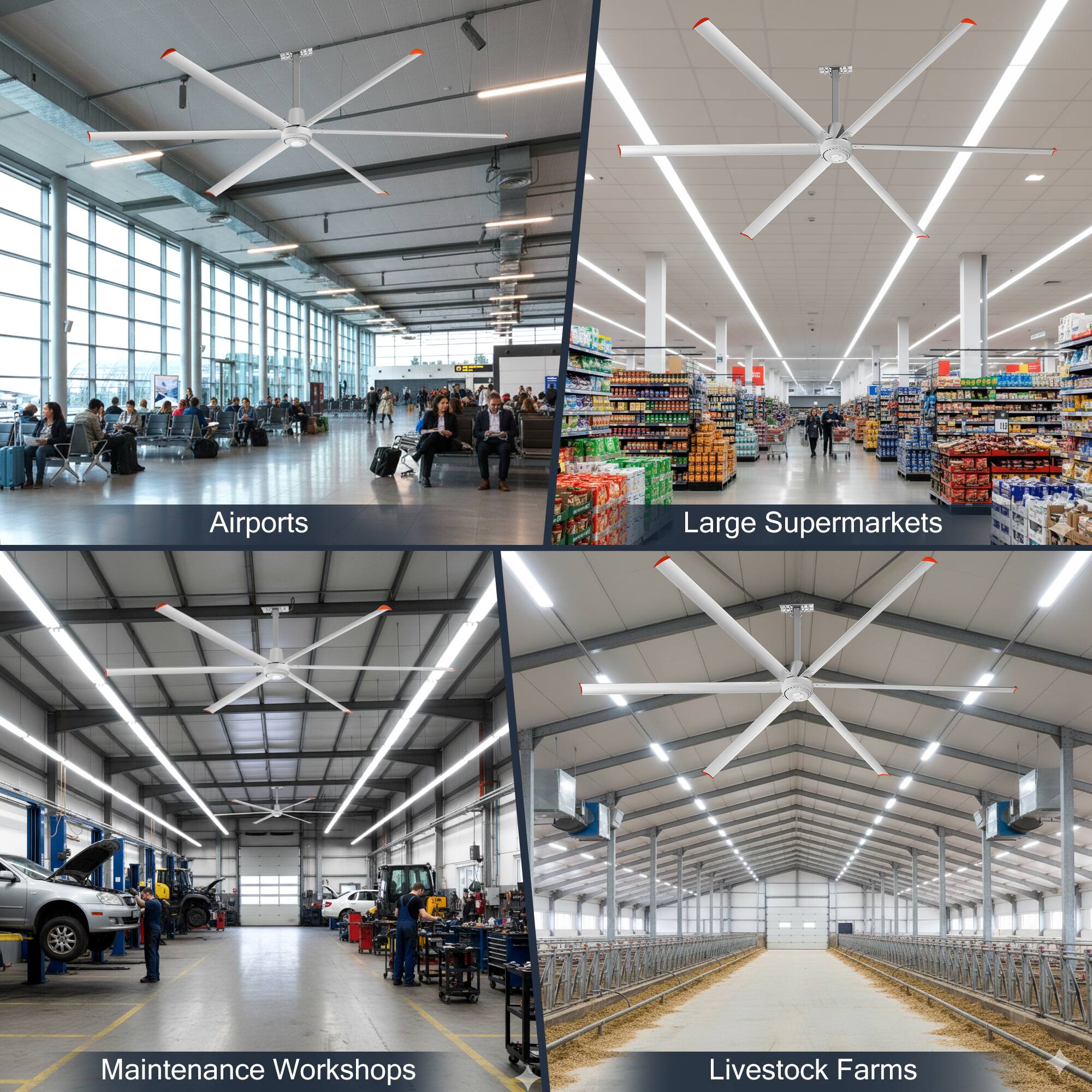 Airports  
Large Supermarkets  
Maintenance Workshops  
Livestock Farms