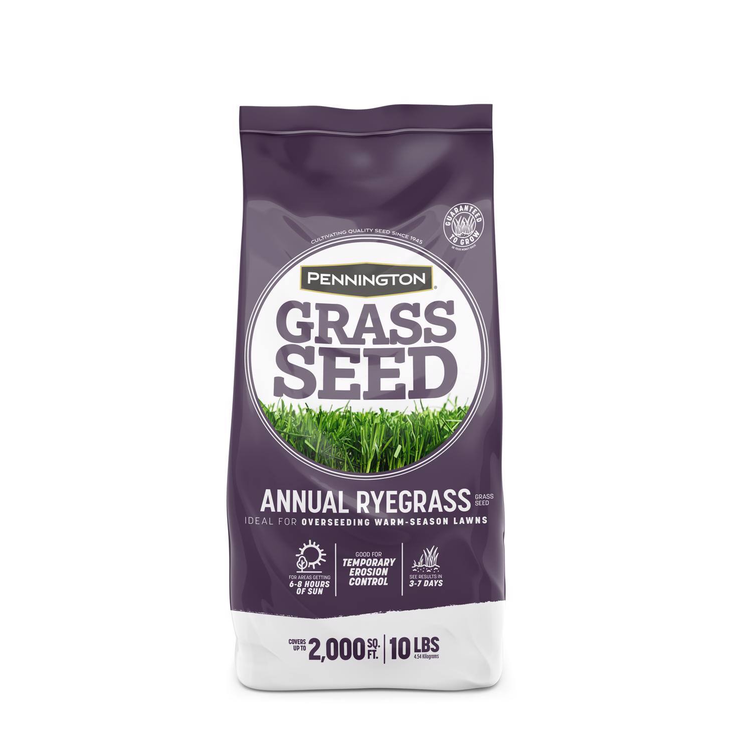 Pennington - Annual Ryegrass Sun or Shade Grass Seed 10 lb price history on PriceWatchPro