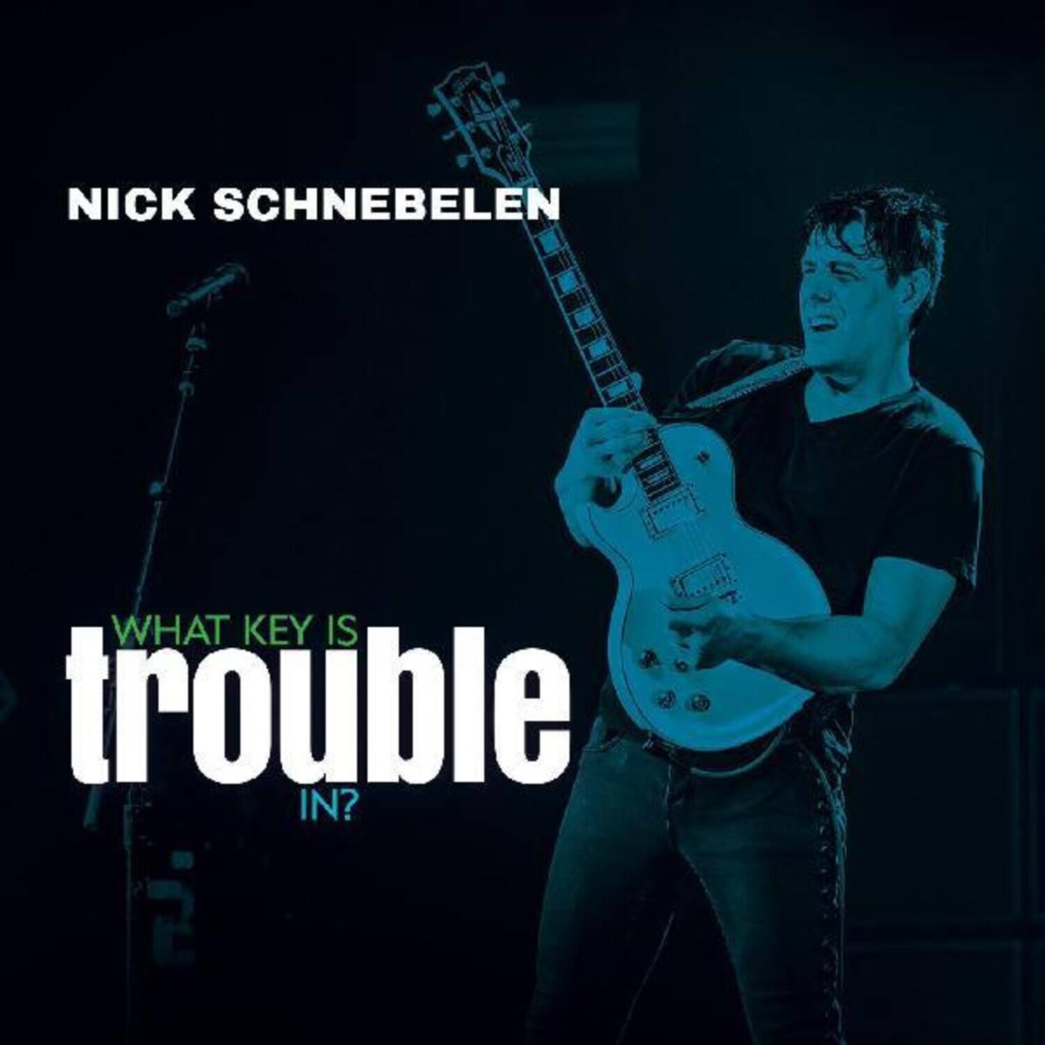 Nick Schnebelen - What Key Is Trouble In?   - COMPACT DISCS [CD] price history on PriceWatchPro