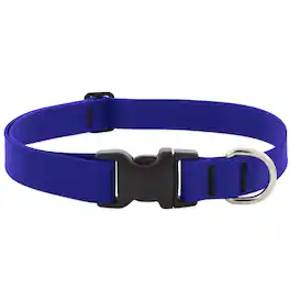LupinePet - Splash BioThane Dog Adjustable Collar Large - True Blue