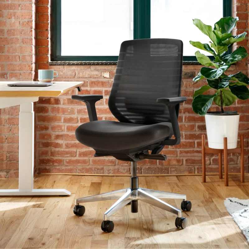 Branch Furniture - Branch Ergonomic Chair – Adjustable Office Chair for All-Day Comfort with Lumbar Support and Recycled Mesh Back - Black
