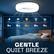 - Breathe Library Our Ceiling Fan Chat Meeting
10 db 20 db 30 db 50 db 70 db
GENTLE QUIET BREEZE