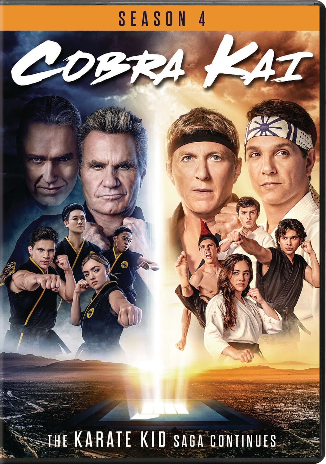 Cobra Kai: Season 4  - DVD