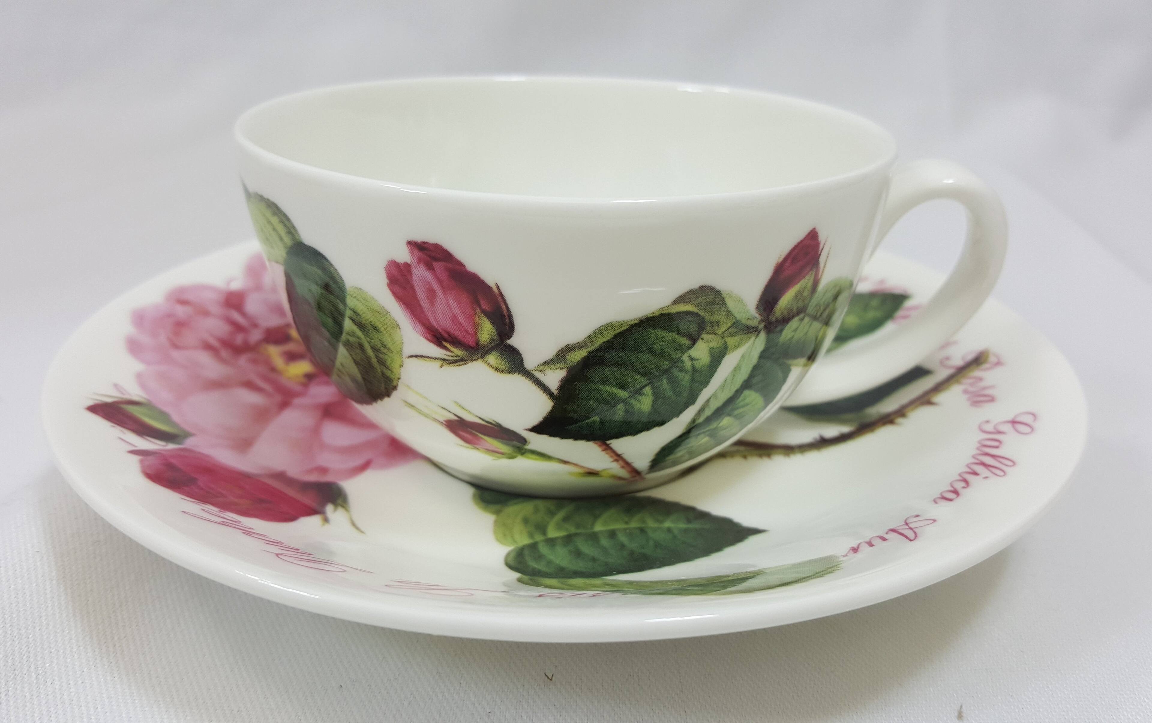 The text on the image is "Rosa Gallica".