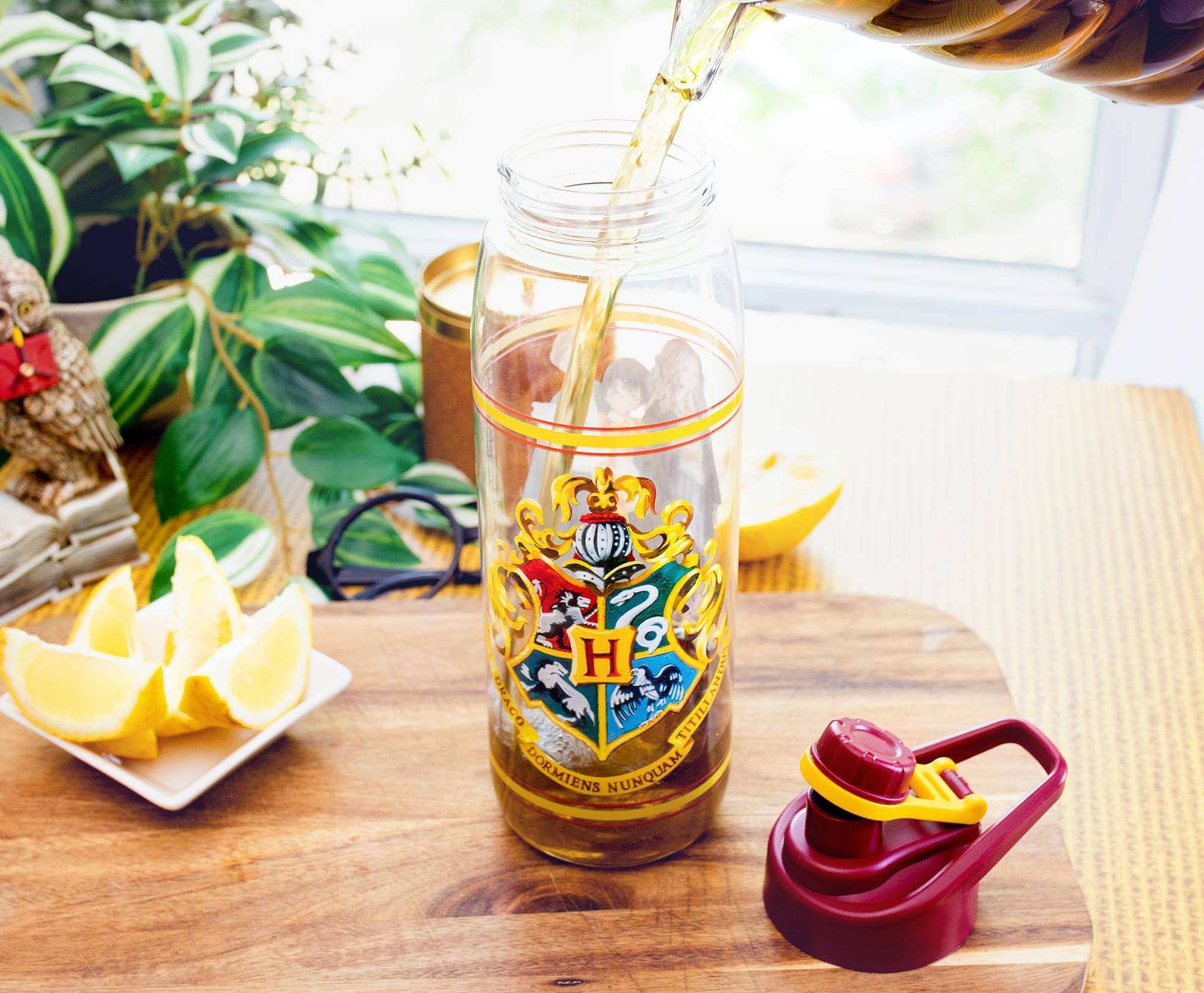 4 H 1g DRACO TITILIARIE TITILI DORMIENS NUNQUAM