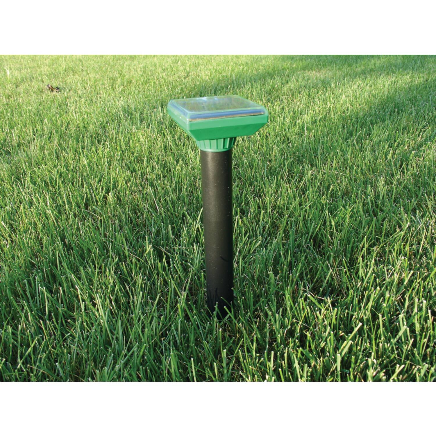 Left. P3 International - Sol-Mate Mole Repeller - Black.