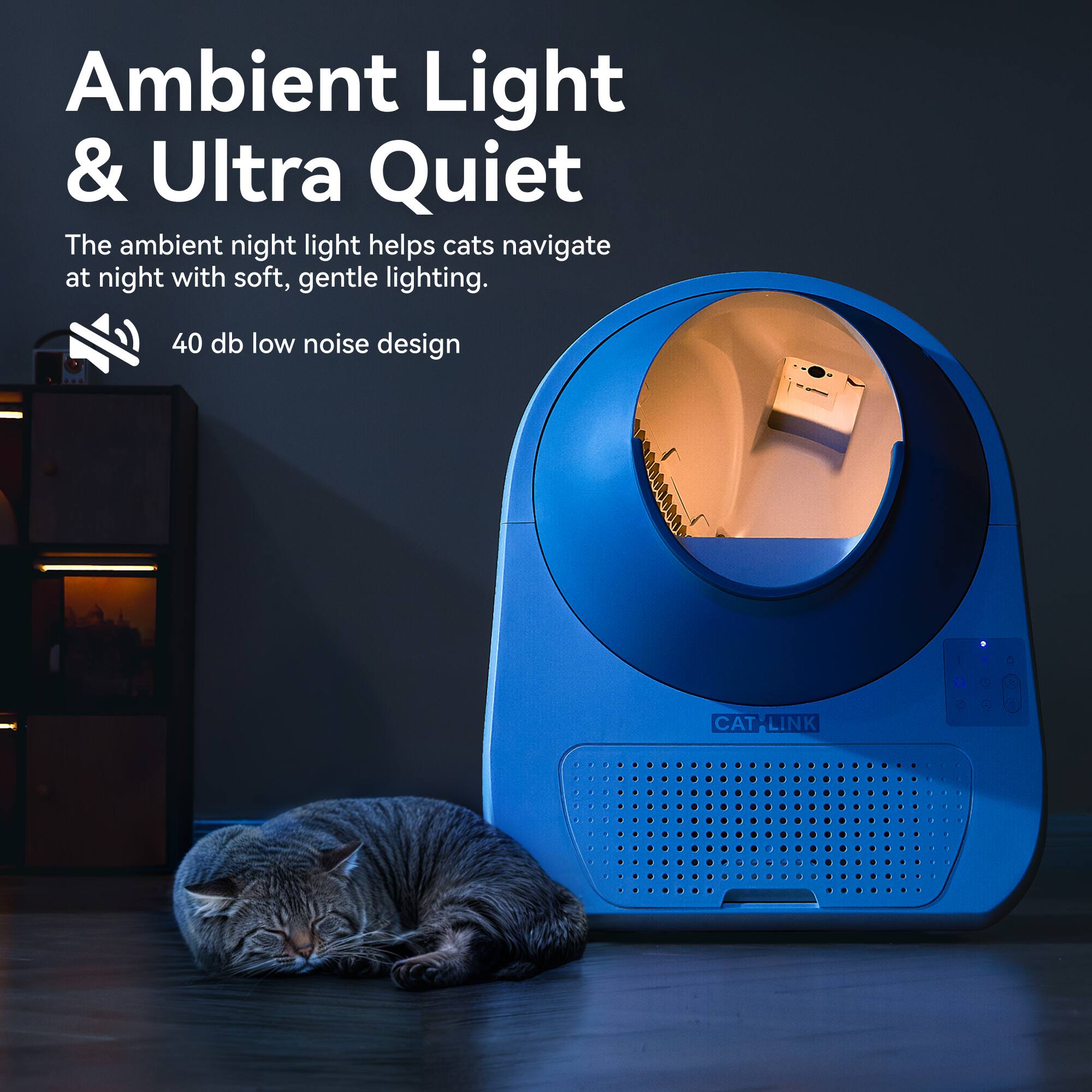 Ambient Light & Ultra Quiet
The ambient night light helps cats navigate at night with soft, gentle lighting. 40 dB low noise design.