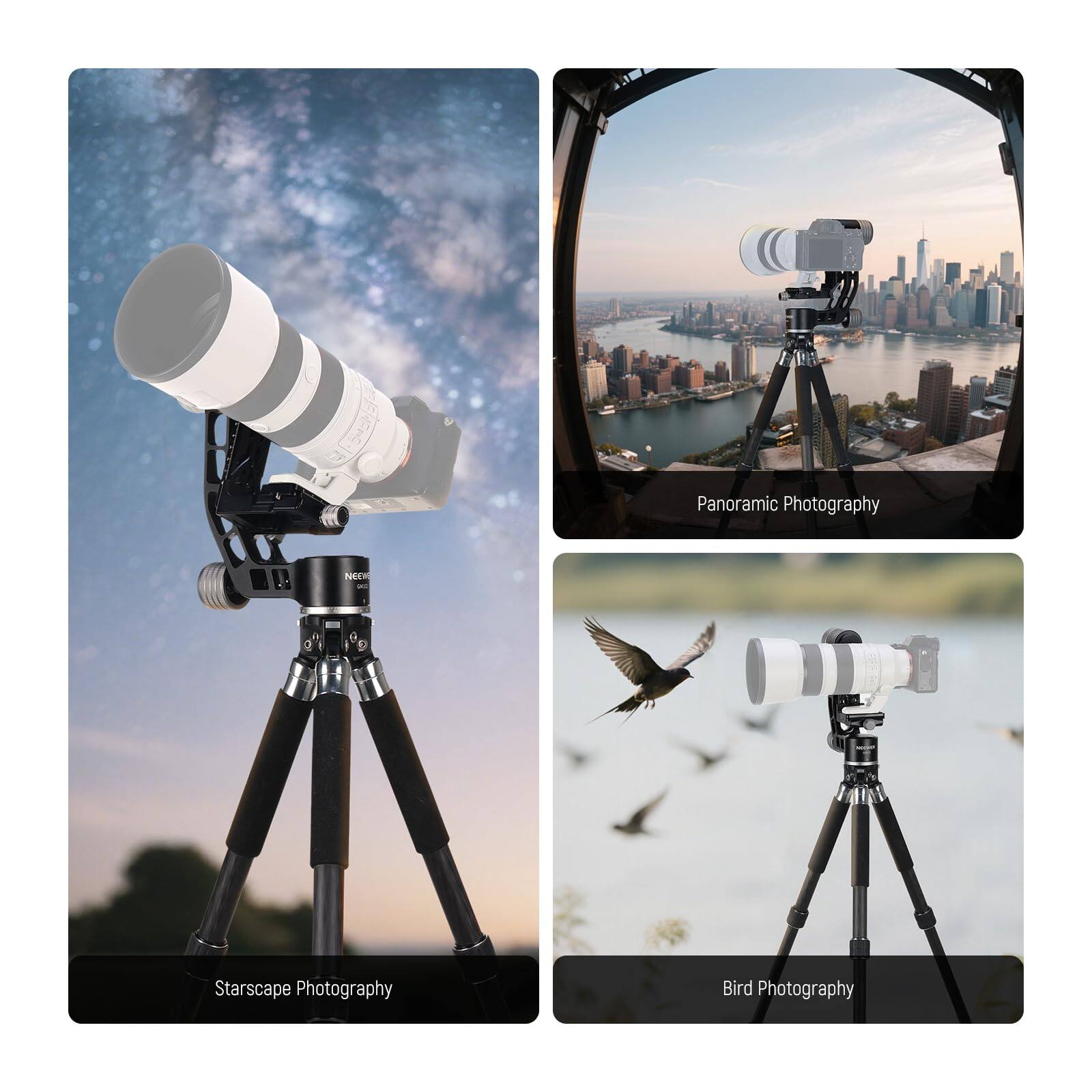 Panoramic Photography  
Starscape Photography  
Bird Photography