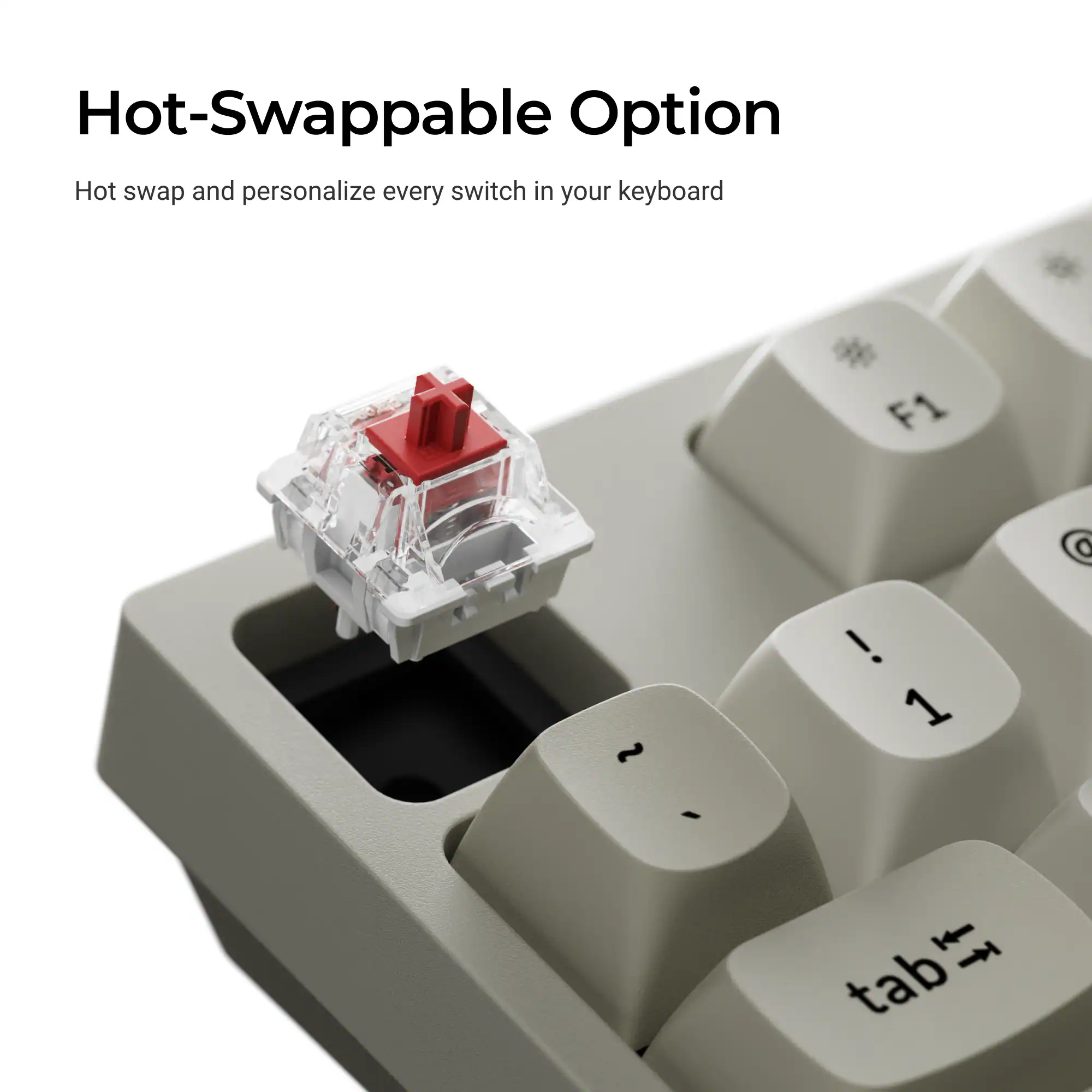 Hot-Swappable Option

Hot swap and personalize every switch in your keyboard

F1  ~ ! 1 I tab