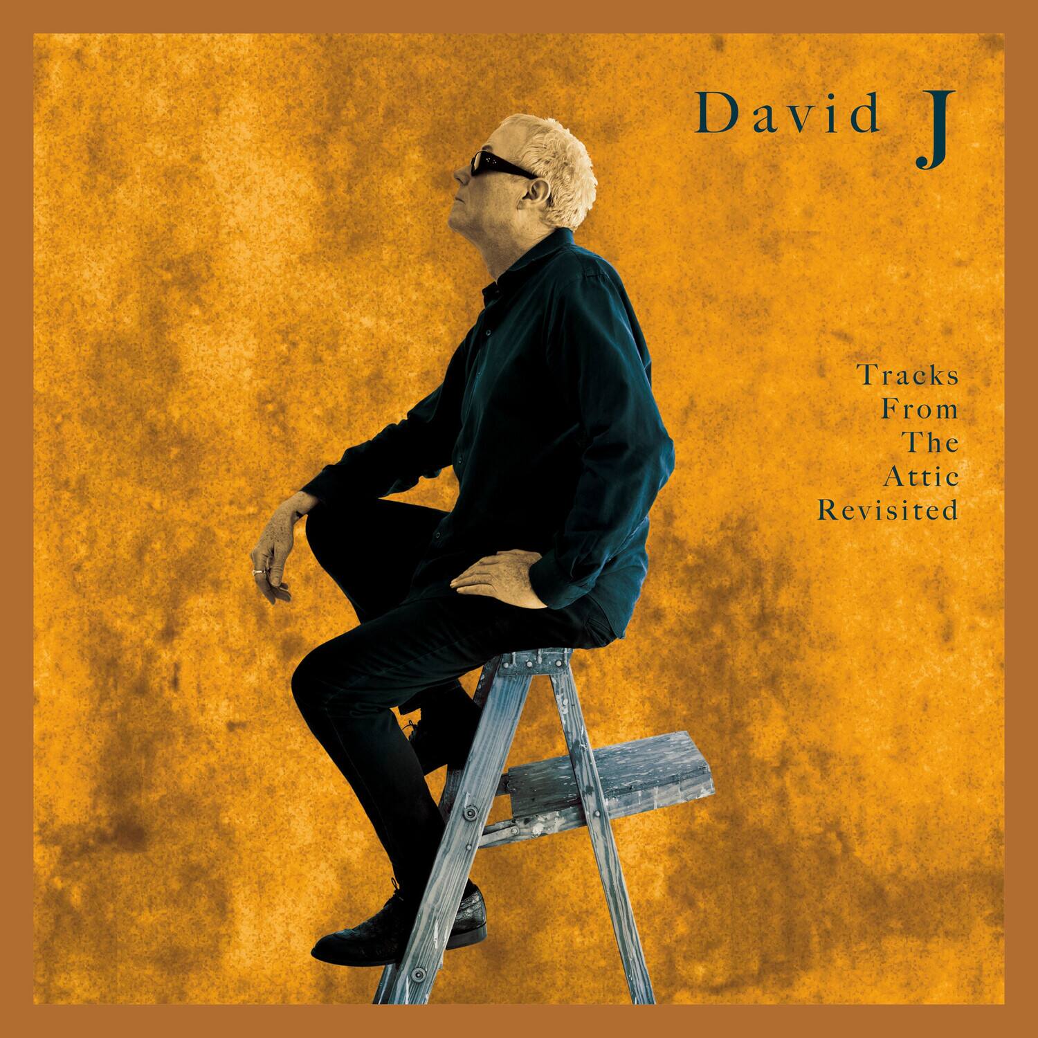 David J - Tracks From The Attic Revisited   - VINYL LP price history on PriceWatchPro