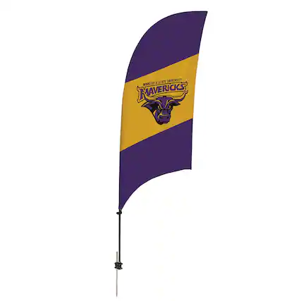 MINNESOTA STATE UNIVERSITY
MAVERICKS