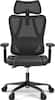 Front. ACGAM - CG-5455M Ergonomic Office Chair, High Back Mesh Desk Chair with Adjustable Lumbar Support, Headrest, Armrests & Recline - Black.