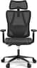 ACGAM - CG-5455M Ergonomic Office Chair, High Back Mesh Desk Chair with Adjustable Lumbar Support, Headrest, Armrests & Recline - Black