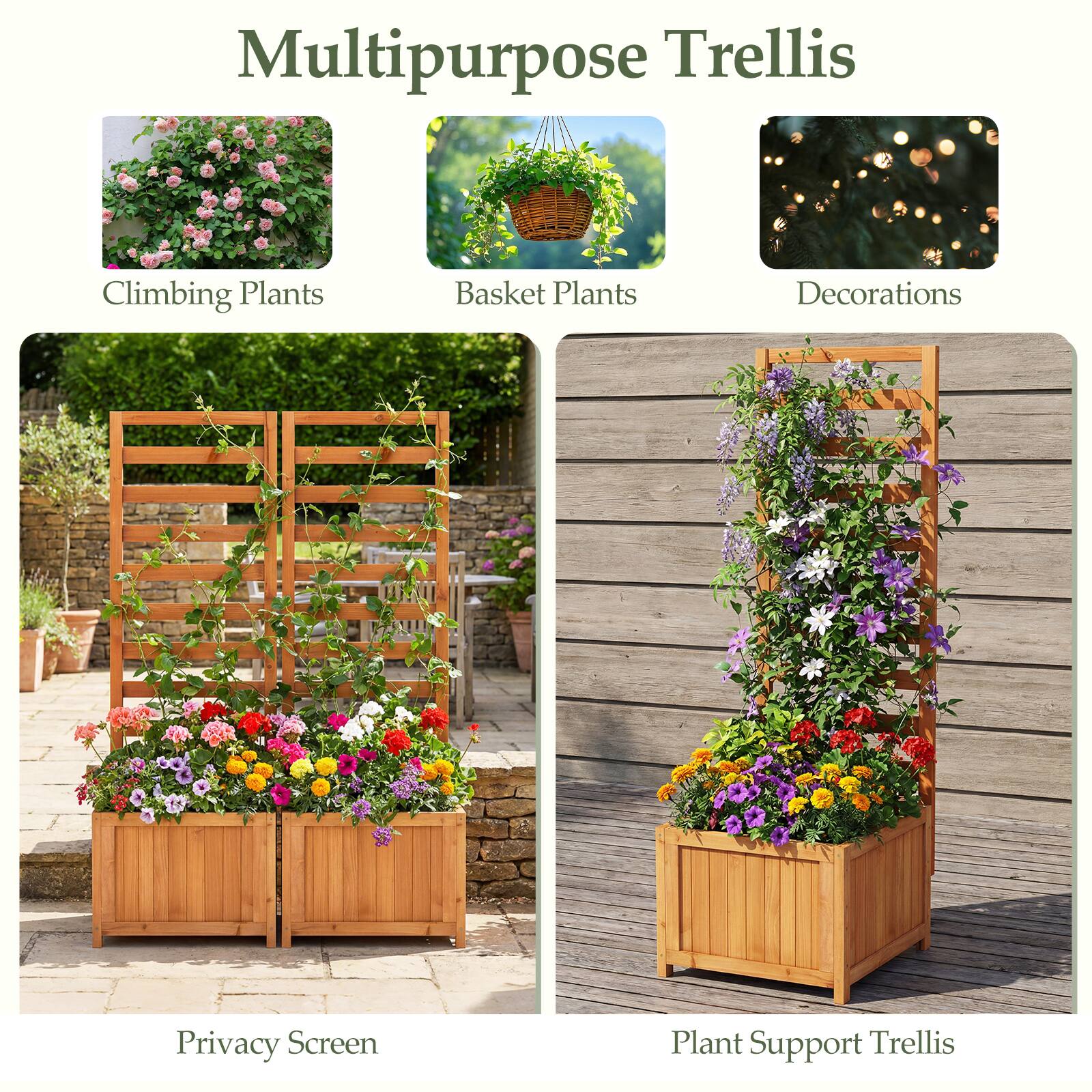 Multipurpose Trellis  
- Climbing Plants  
- Basket Plants  
- Decorations  
- Privacy Screen  
- Plant Support Trellis
