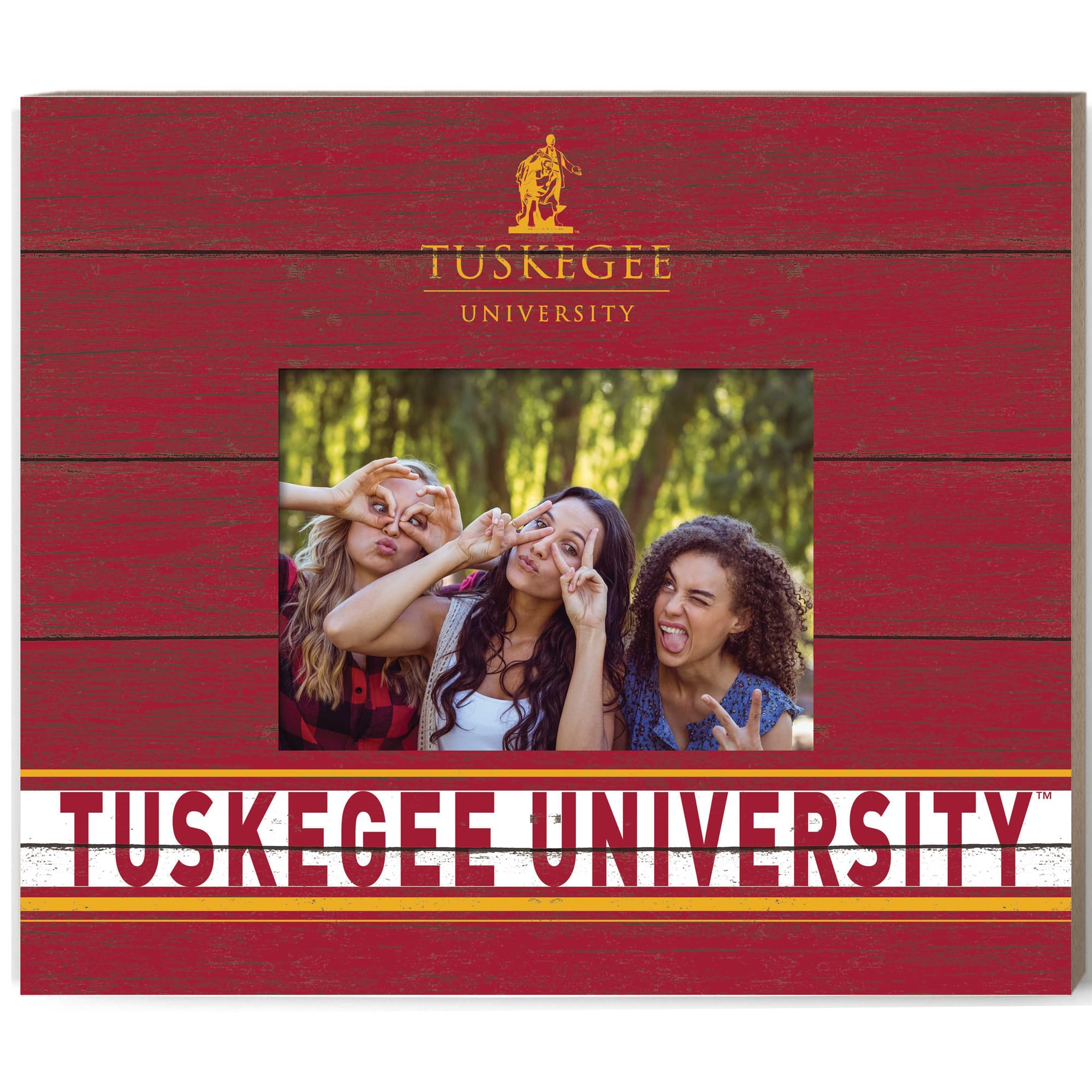 Jardine - Tuskegee Golden Tigers 11'' x 13'' Team Spirit Picture Frame - Maroon price history on PriceWatchPro