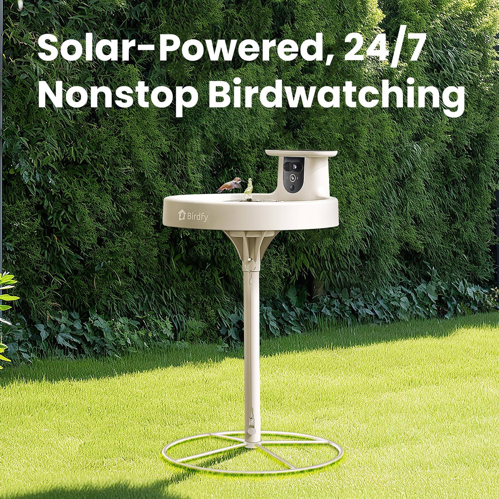 Solar-Powered, 24/7 Nonstop Birdwatching