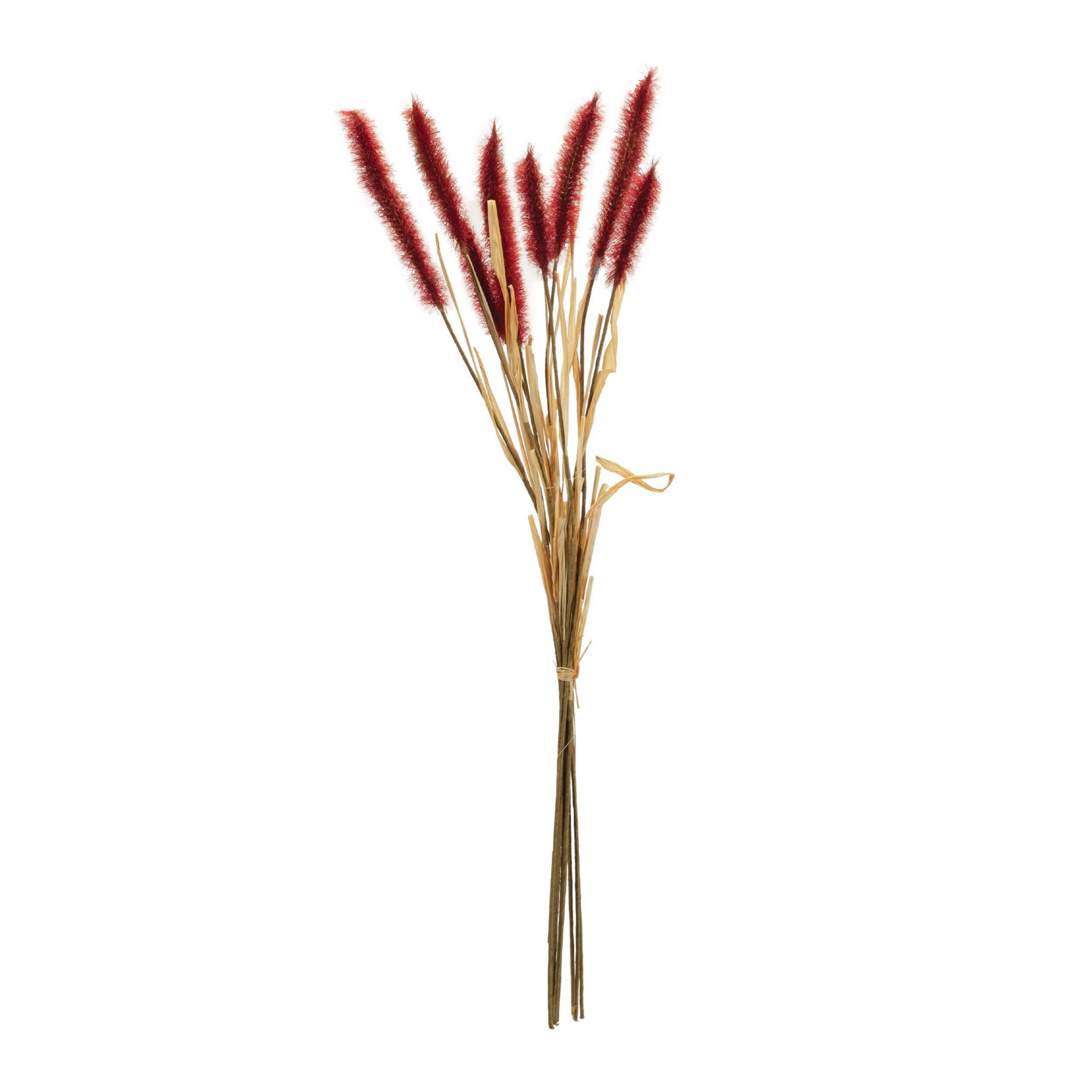 Angle. BreeBe - Fall Foxtail Grass Bundle (Set of 6) - Red.