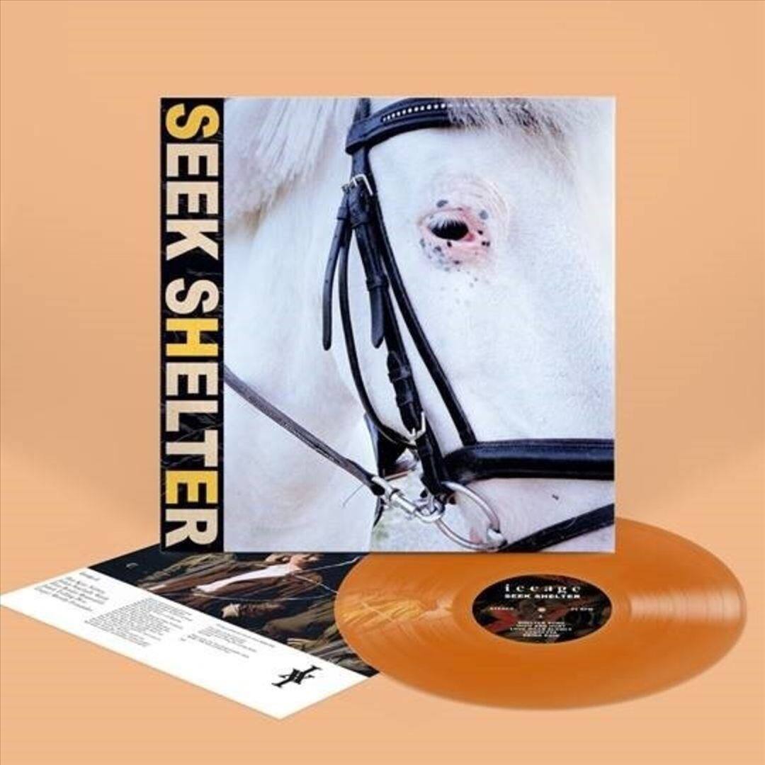 Seek Shelter [LP] [VINYL] price history on PriceWatchPro