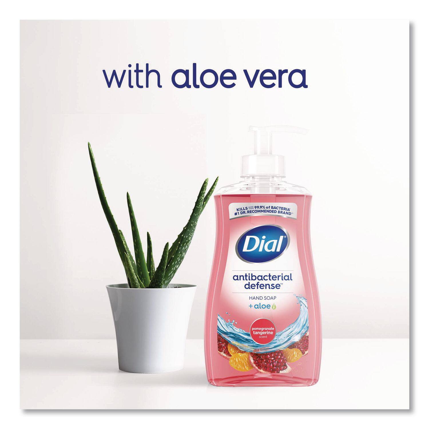 with aloe vera

KILLS 99.9% OF BACTERIA

Dial antibacterial defense HAND SOAP + aloe

pomegranate tangerine scent