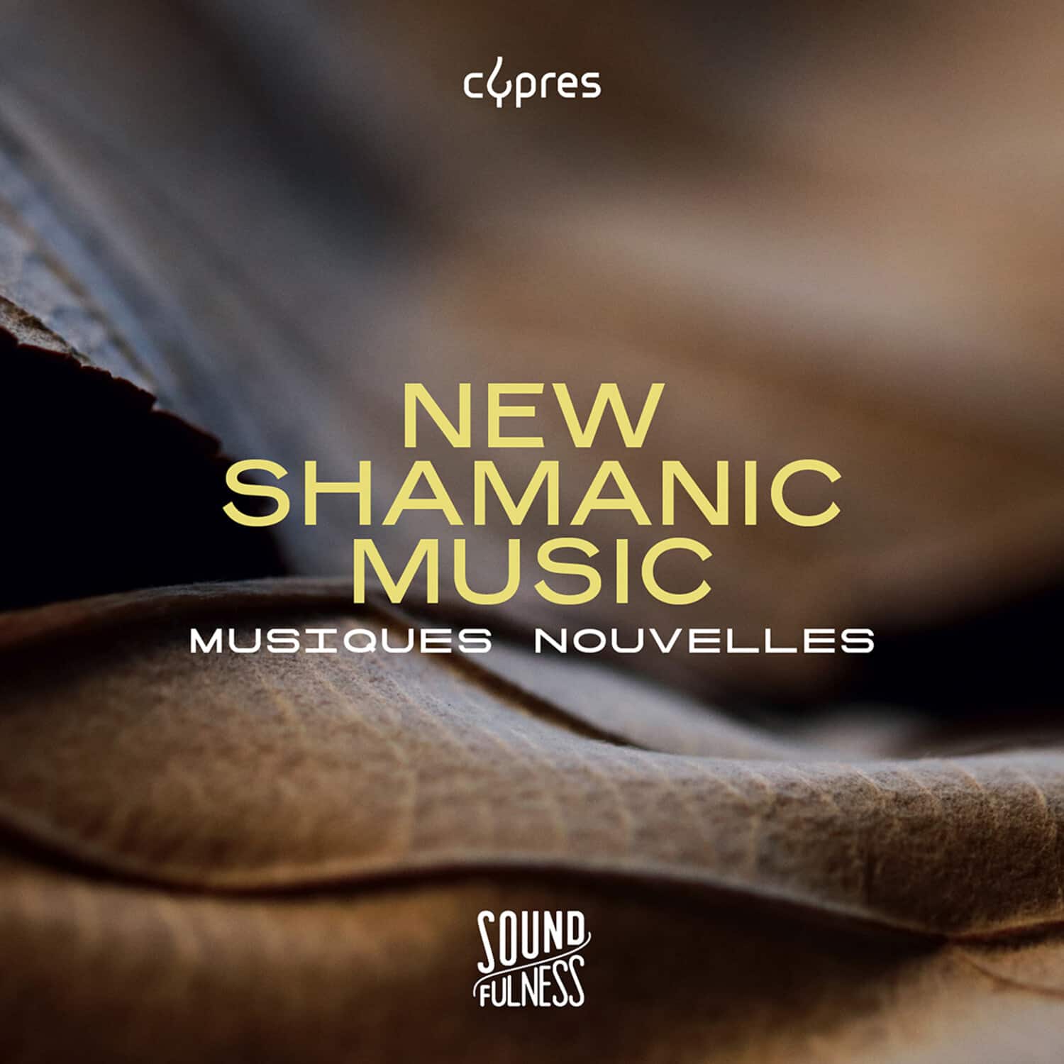 Various Artists - New Shamanic Music    - COMPACT DISCS [CD] price history on PriceWatchPro