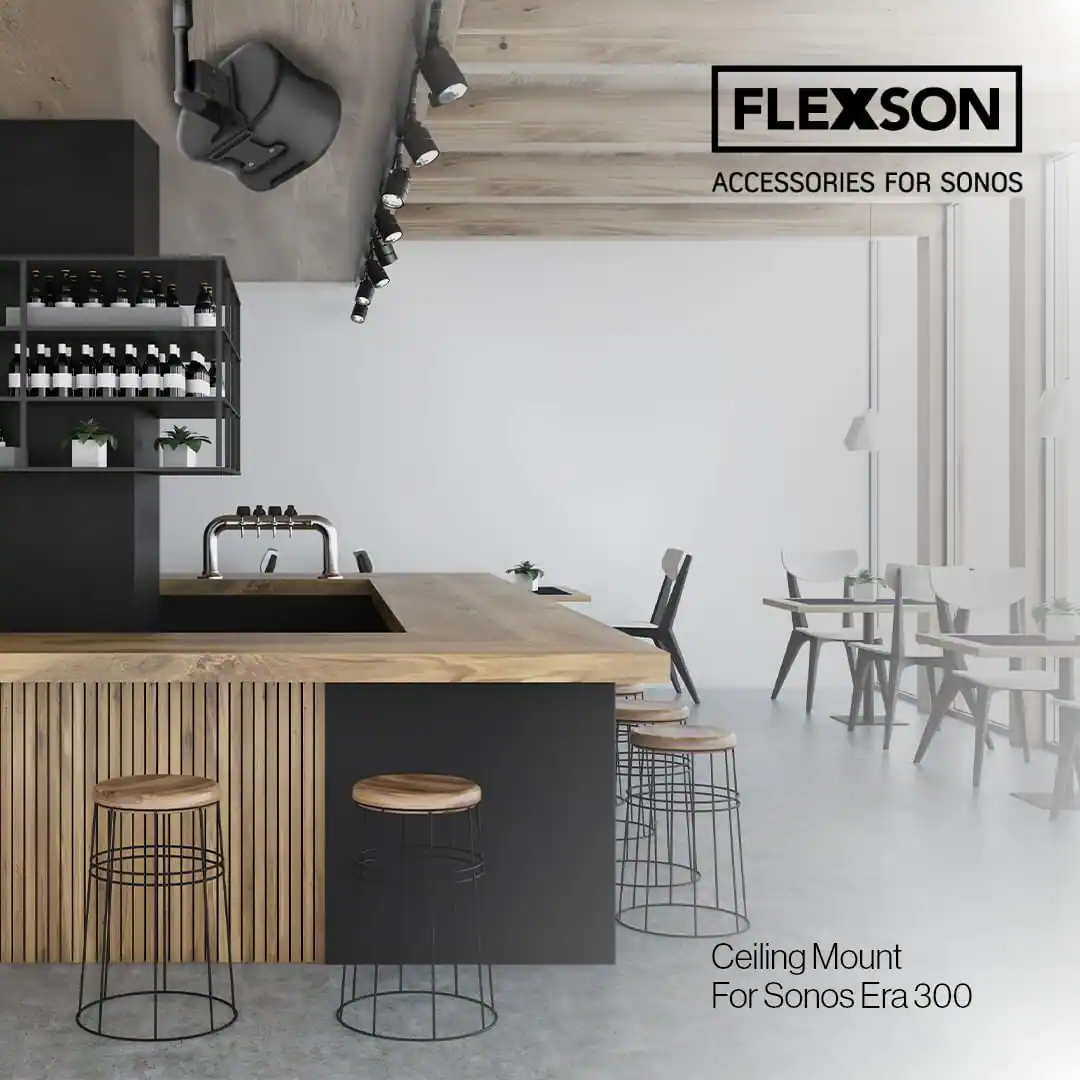 FLEXSON ACCESSORIES FOR SONOS Ceiling Mount For Sonos Era 300