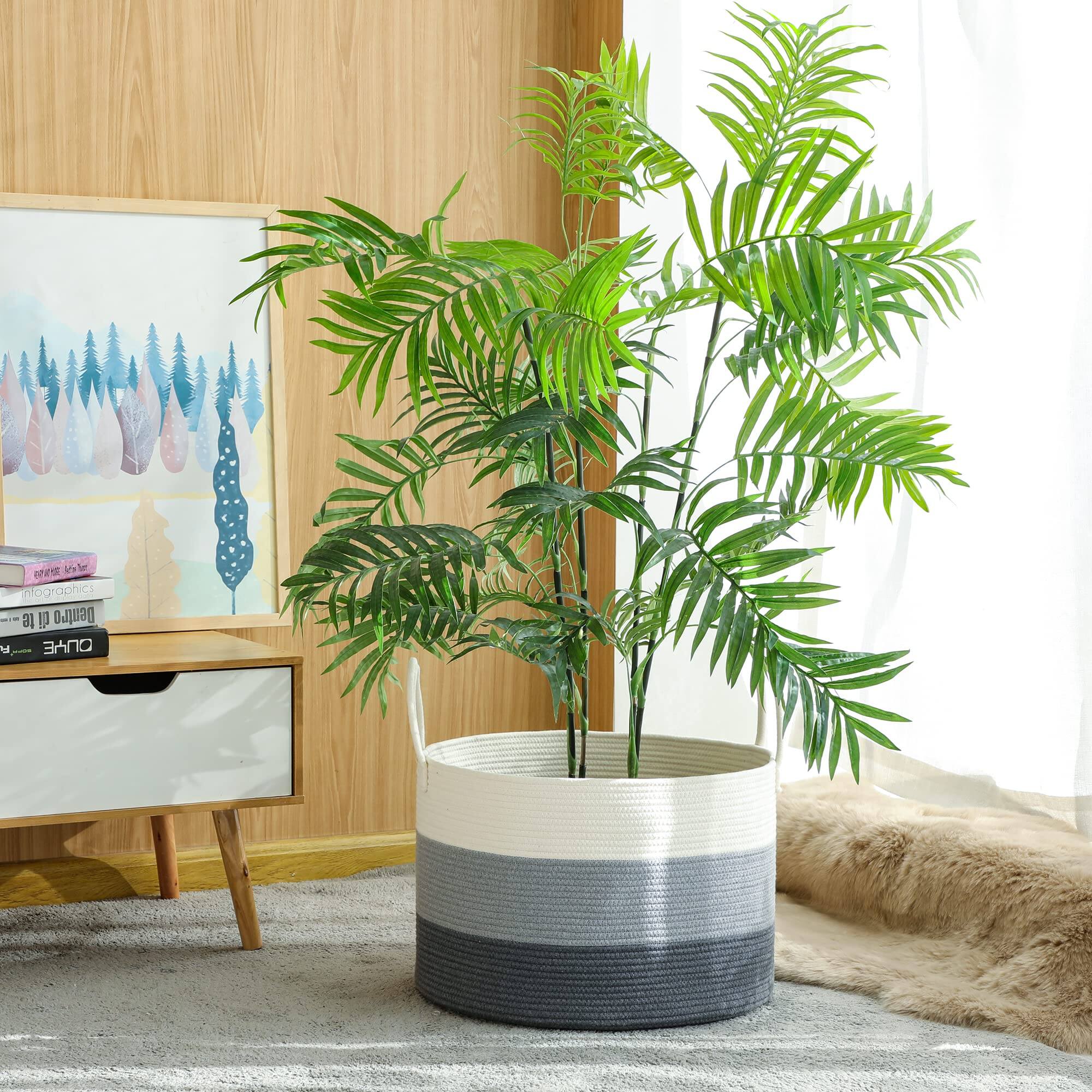 The text on the image reads:

"n 1 ographics NO 3g di Dentro A OUYE"

Corrected and grouped:

"n 1 ographics NO 3g di Dentro A OUYE"