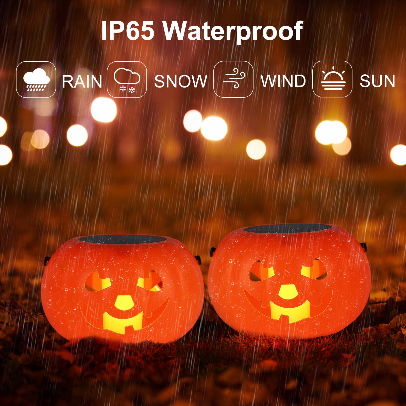 IP65 Waterproof

RAIN SNOW WIND SUN