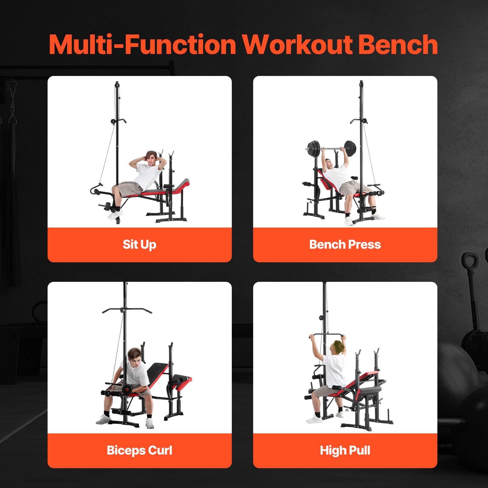 Multi-Function Workout Bench

- Sit Up
- Bench Press
- Biceps Curl
- High Pull