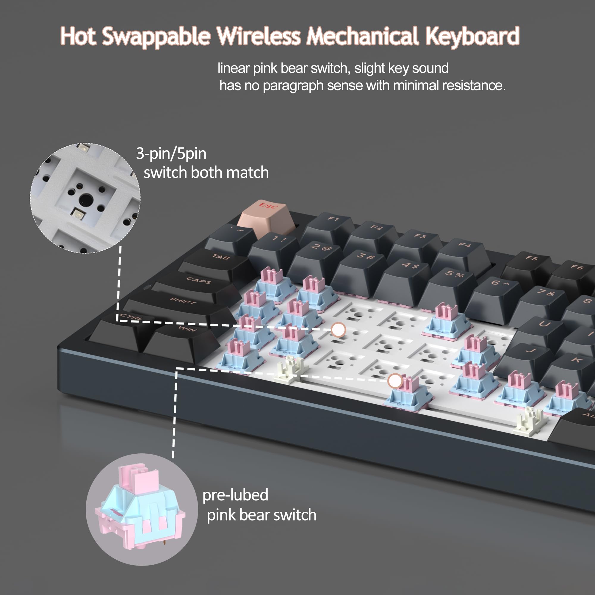Hot Swappable Wireless Mechanical Keyboard

- linear pink bear switch, slight key sound has no paragraph sense with minimal resistance.
- 3-pin/5pin switch both match
- pre-lubed pink bear switch