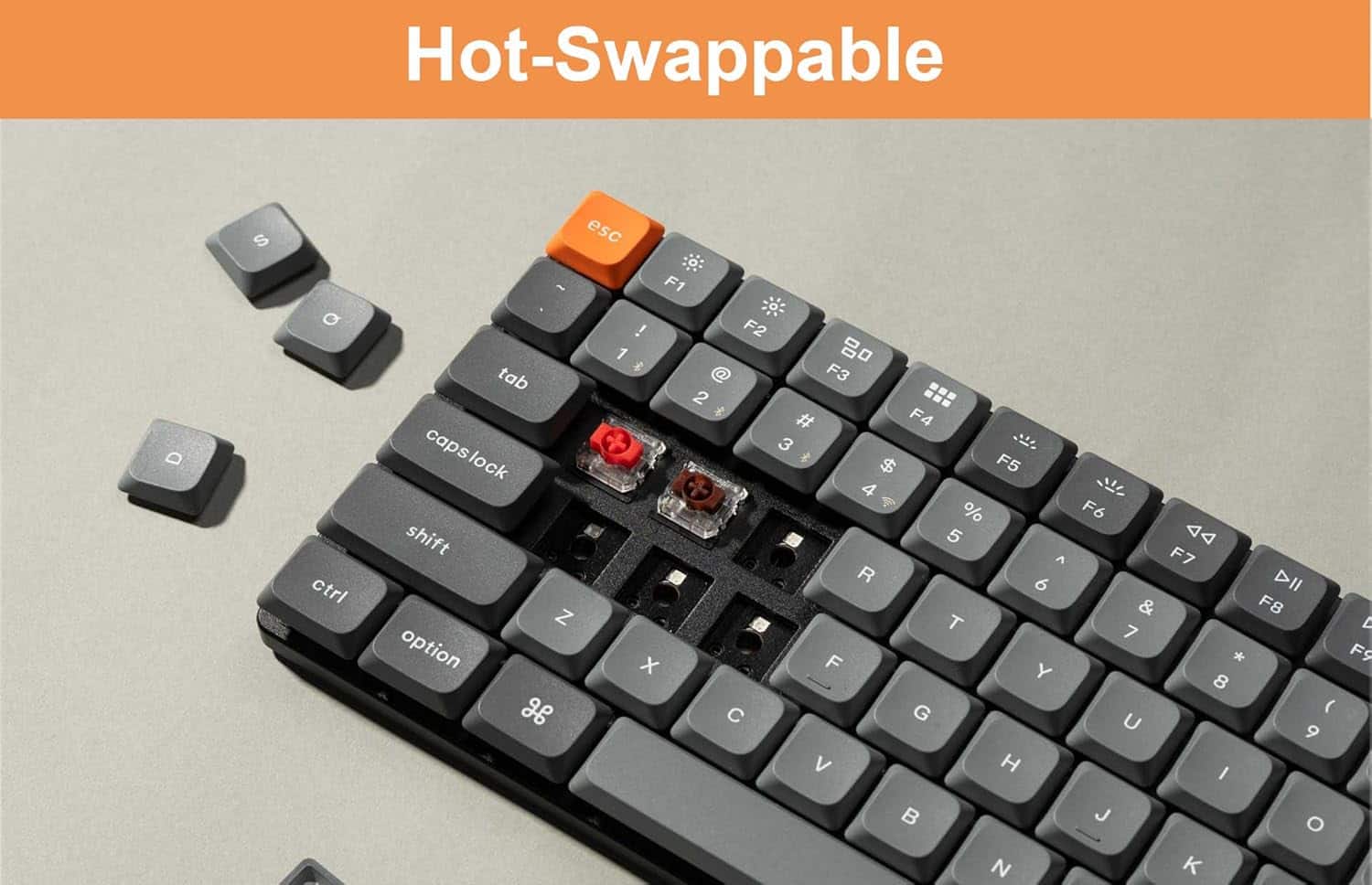 Hot-Swappable S esc Q ctrl ~ tab capslock caps lock shift Z option s F1 ! F2 1 0 F3 2 F4 3 \* F5 $ 4 4 % 5 A R 6 T x F Y G V H F6 <4 F7 DII & F8 7 A \* F9 8 ( U 9 I N J K O