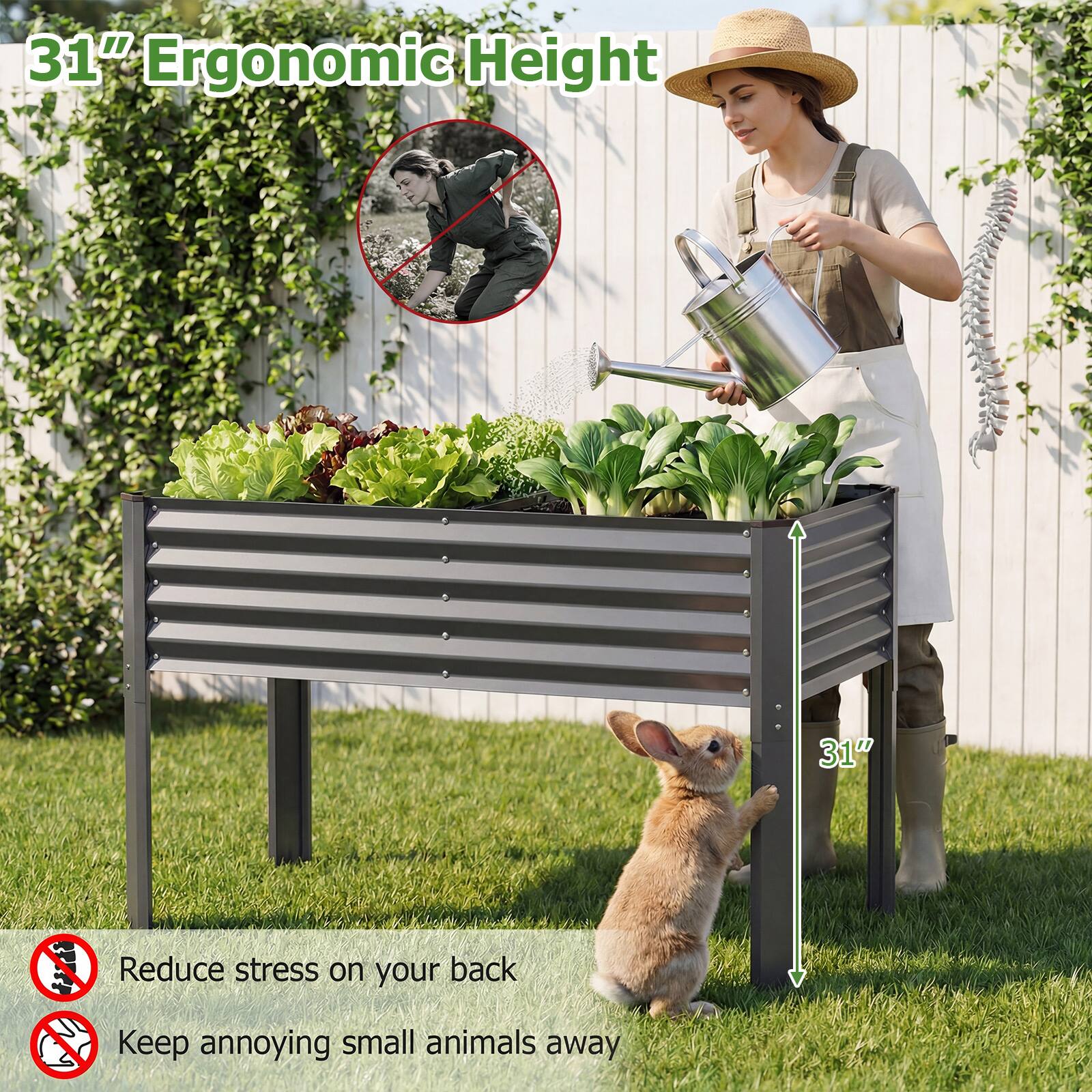31" Ergonomic Height

Reduce stress on your back

Keep annoying small animals away
