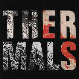 The Thermals - Desperate Ground - VINYL LP