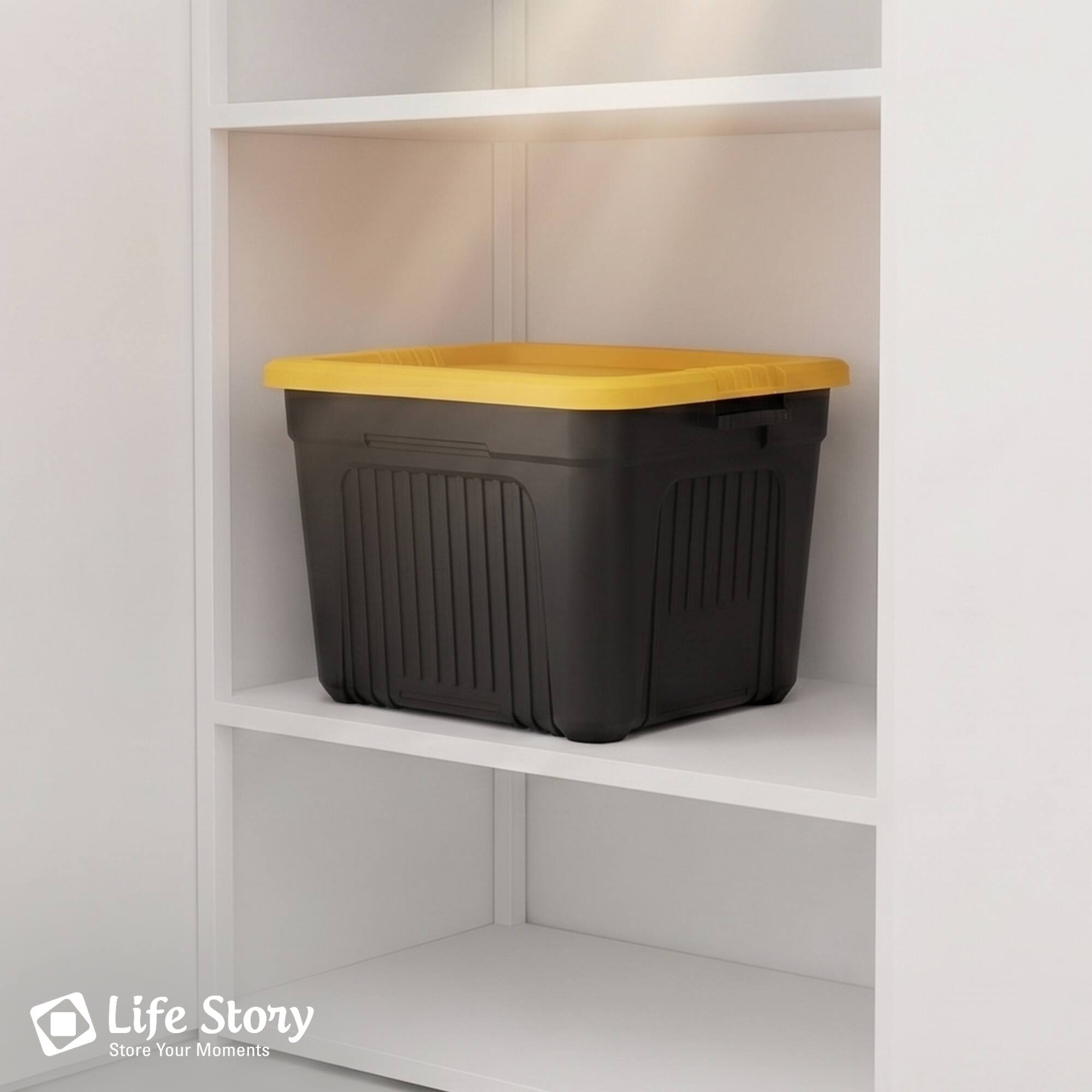Life Story  
Store Your Moments