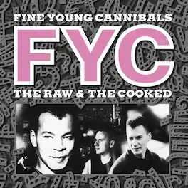 Fine Young Cannibals - The Raw and The Cooked - VINYL LP