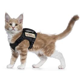 Paradigms Interiors - Cat Harness For Walking Escape Proof Soft Mesh Pet Vest Dog Khaki - Black-Large