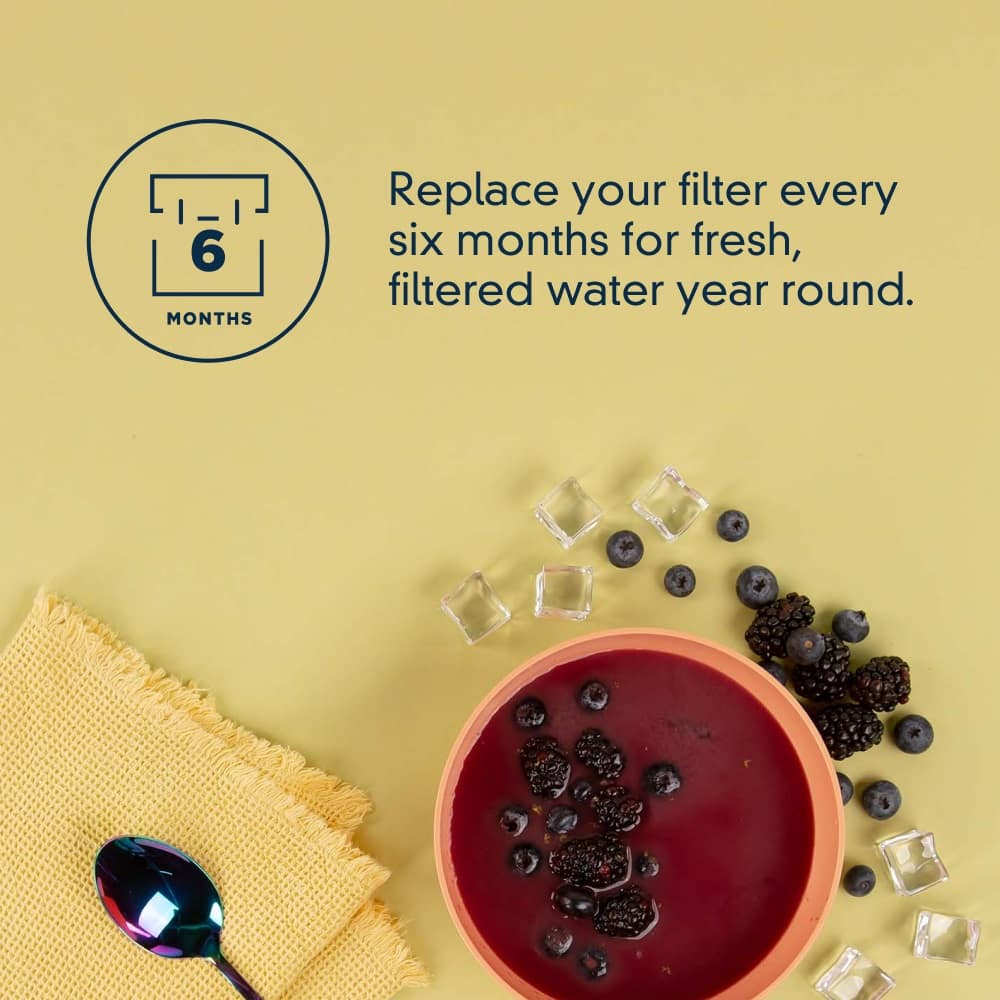 Replace your filter every six months for fresh, filtered water year round.