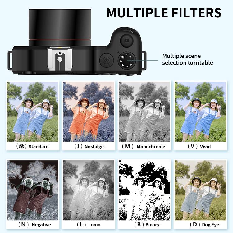 MULTIPLE FILTERS

Multiple scene selection turntable

- (S) Standard
- (I) Nostalgic
- (M) Monochrome
- (V) Vivid
- (N) Negative
- (L) Lomo
- (B) Binary
- (D) Dog Eye