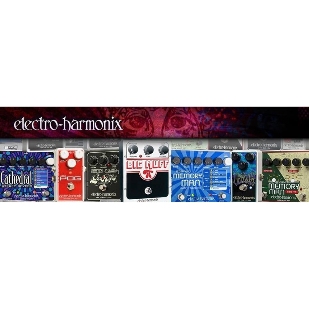 electro-harmonix

Cathedral STEREO REVERB

POG

BIG MUFF

MEMORY MAN

MEMORY MAN